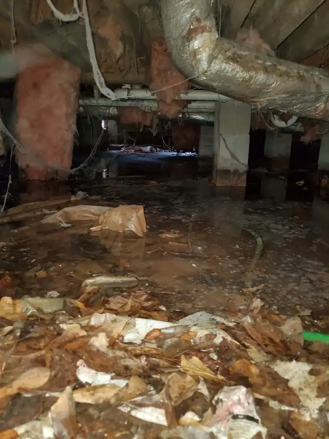 Crawl space flood assessment for Leak Detection & Repair in Ojai